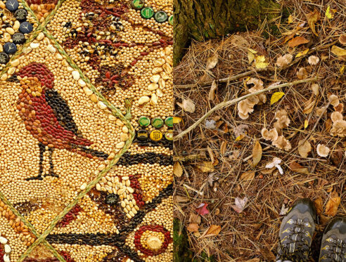 Mosaics made with seeds and hemlock with fungi in nature.