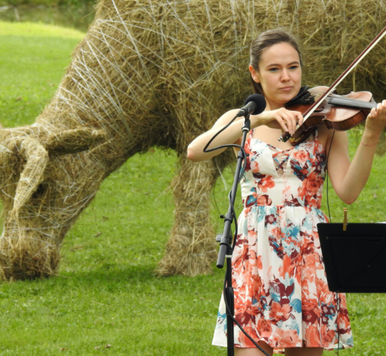 Eleanor from Elm Duo performs on Violin in front of a large Cow sculpture made from Kernza during Fermentation Fest - a live culture convergence.