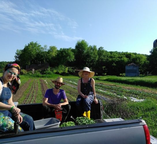 Wormfarm artist residents in the back of a pickup truck with rows of vegetables behind them.