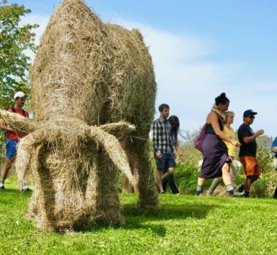 Fermentation Fest visitors admire Kernza Cow a sculpture by Brian Sobaski. Kernza is a perennial grain,