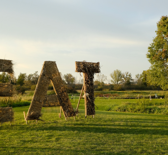 Large letters E A T covered with harvested Kernza, cattail and corn husks are installed in a green field.
