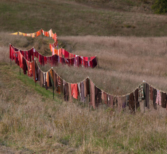 “Monday is Wash Day” by Brenda Baker was part of the Farm/Art DTour in 2015. Multicolored clothing was hung on lines across a field that stretched as far as the eye can see. Photo by Eric Baillies.
